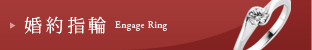 婚約指輪 Engage Ring