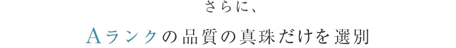 Aランクの品質の真珠だけを選別