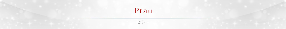 Ptau（ピトー）